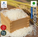 【ふるさと納税】《 定期便 》 農家ふじた 特別栽培米 こしひかり 精米 5kg × 3回 ( 毎月 ) 米 お米 おこめ 新米 令和6年度産 こしひかり 定期産 5kg 精米 人気 ランキング おすすめ お中元 お歳暮 ギフト 小松市 こまつ 石川県 ふるさと 故郷 納税 037015【農家ふじた】