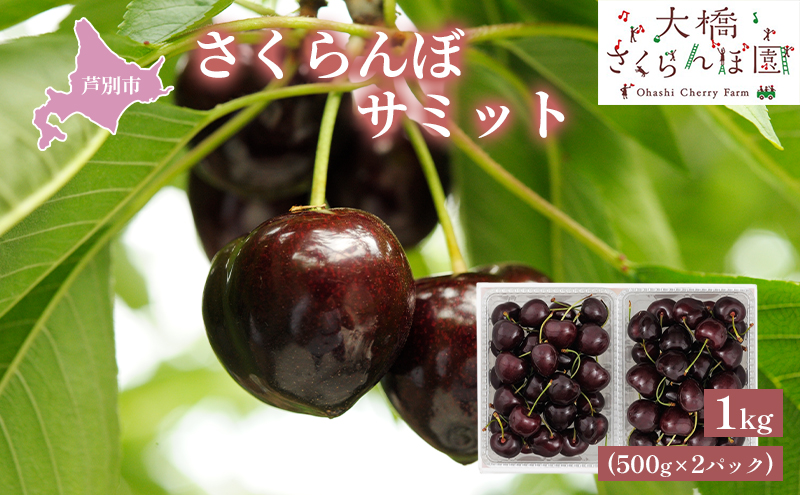 【先行受付】さくらんぼ サミット1kg（500g×2パック）高級 サクランボ 北海道 芦別産 黒 希少 4L 大