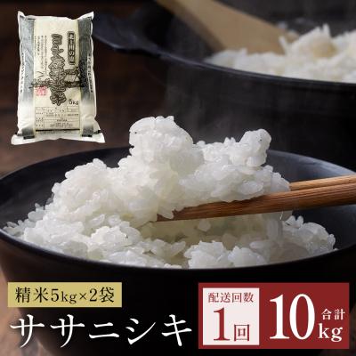 ふるさと納税 石巻市 令和7年産 ササニシキ 精米 10kg(5kg×2)単品