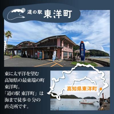 ふるさと納税 東洋町 みりん干し さば&あじセット 12枚 |  | 03