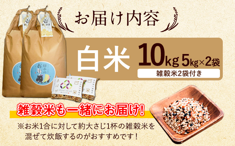 新米 令和7年産 米 いのちの壱(白米) 10kg(5kg×2袋)  雑穀付《10月中旬-11月下旬頃出荷》熊本県 南阿蘇村 南阿蘇 虹色のかば---sms_inci6_k1011_r7_33500_