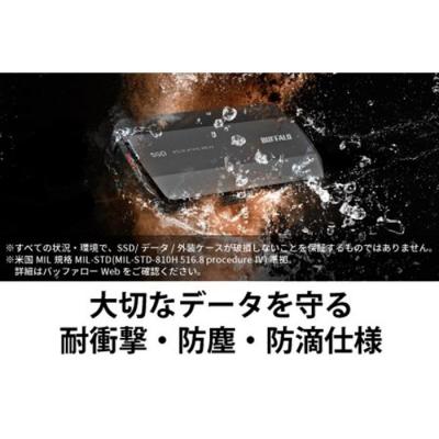 ふるさと納税 名古屋市 バッファローTypeA&C MiniStation SSD 2TB |  | 03