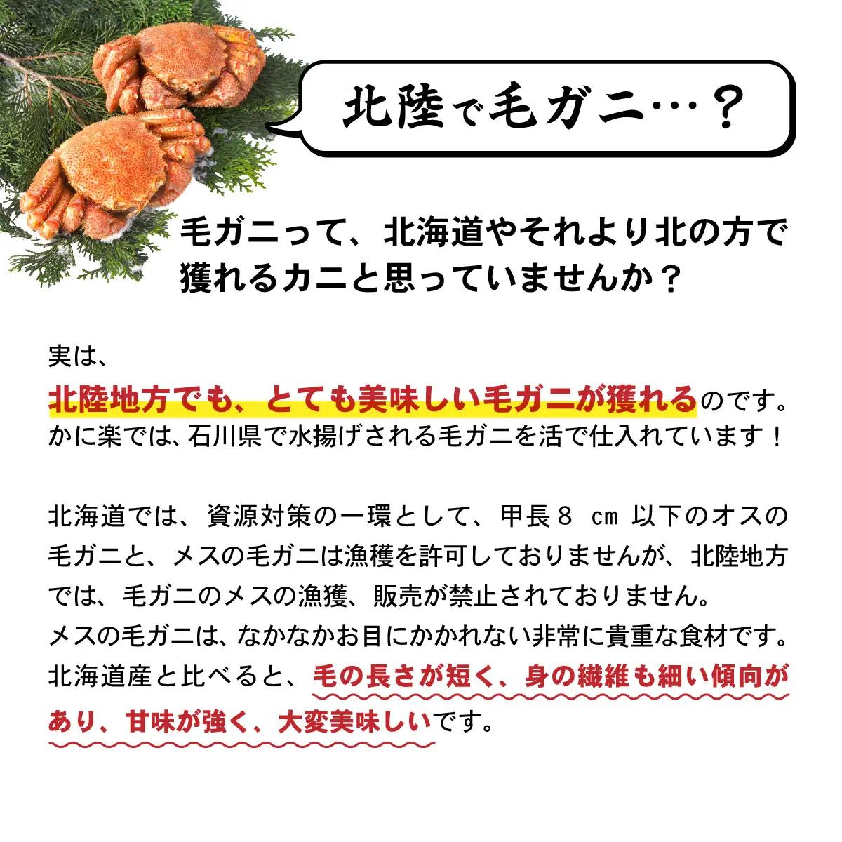 【トライアル返礼品】蟹好き集まれ！北陸産メス毛ガニ 甲羅盛【メス甲羅盛110ｇ前後】【訳あり】 [A-096004] / 甲羅盛り