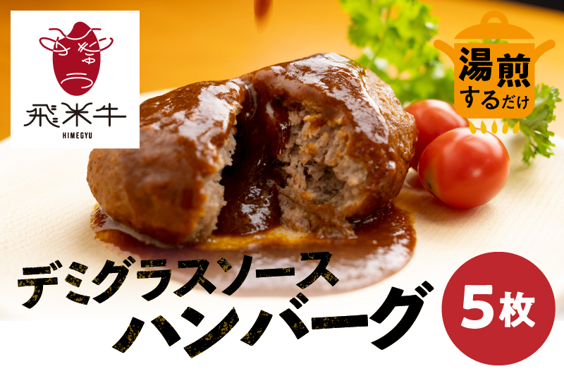 《簡易包装》飛米牛入りデミグラスソースハンバーグ 200g×5枚 簡単調理 温めるだけ レトルト Q2452