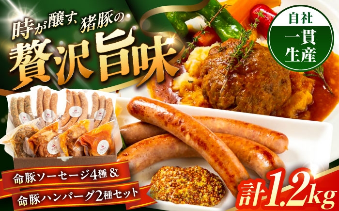 
                  ソーセージ & ハンバーグ  『命豚ソーセージ4種＆命豚ハンバーグ2種セット』 豚肉 ハンバーグ ソーセージ はんばーぐ そーせーじ Hamburg Sausage 豚にく ぶたにく 豚 肉 ぶたにく ニク にく お肉 おにく セット 焼き肉 焼肉 バーベキュー BBQ 詰め合わせ お取り寄せ 国産 ギフト 冷凍 沖縄市 / DELICATESSEN NUCHIBUTA[BCAR002]
                