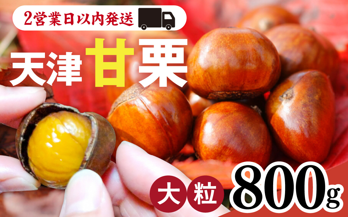天津甘栗 800g