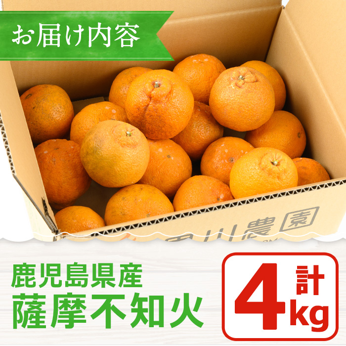 No.1089 ＜先行予約受付中！2026年1月中旬～2月下旬までの間に発送＞《訳あり！期間・数量限定》鹿児島県産！薩摩不知火(4kg) みかん 不知火 柑橘 フルーツ 果実 鹿児島 【黒川農園】