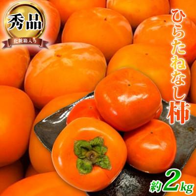 ふるさと納税 九度山町 【2026年発送】【九度山町】和歌山秋の味覚　平核無柿(ひらたねなしがき)　約2kg　化粧箱入