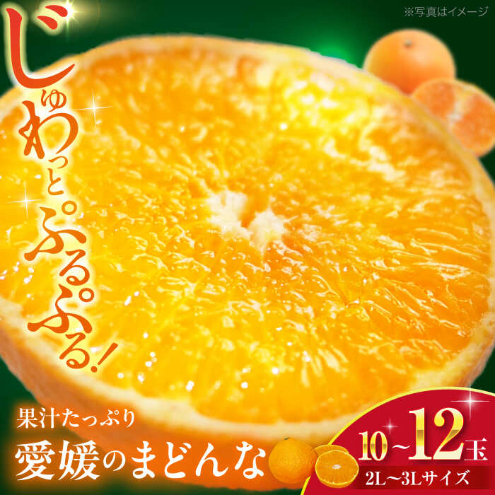 【ふるさと納税】【先行予約】【11月下旬から順次発送】 まどんな 2L〜3Lサイズ 10〜12玉 みかん 果物 大洲市/峯田農園[AGBT006] 先行予約 みかん ミカン 蜜柑 果物 くだもの フルーツ 愛媛県産 大洲市産 産地直送 おすすめ 人気 お取り寄せ 送料無料 贈答 ギフト