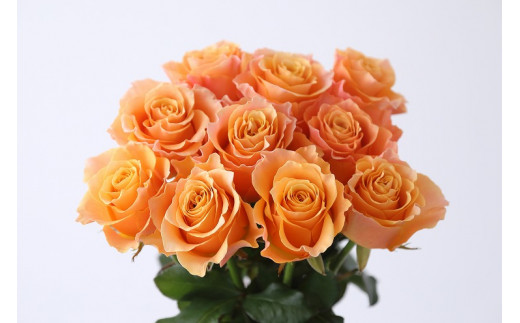 【定期便：12カ月】國枝バラ園から直送！Flower Bouquet（25本の花束）オレンジ系