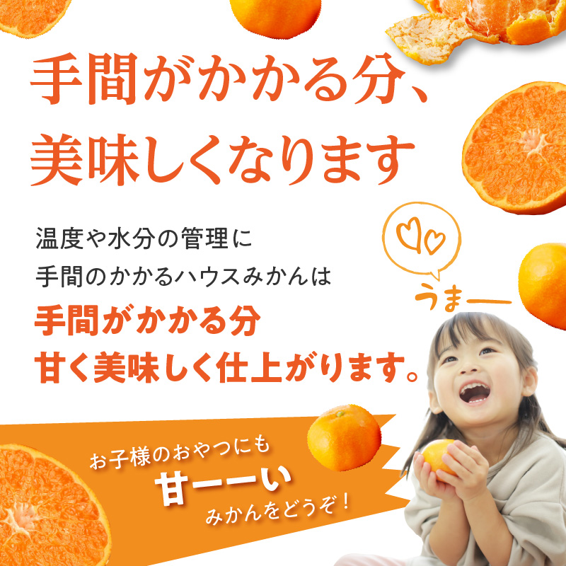 ★予約受付★【2025年6月以降配送】佐賀県産ハウスみかん　約1.5kg【件数限定】