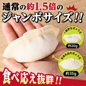 北海道物産展で大人気の佃善！札幌ジャンボ肉ぎょうざ16個入り×4袋セット（計64個）