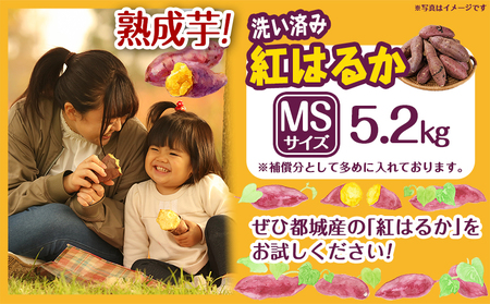 【熟成芋】芋名人が認めるさつまいも『洗い済み　紅はるか』MSサイズ ※12月～1月頃順次発送_LD-L703-J_(都城市) 宮崎県都城産 紅はるか MSサイズ