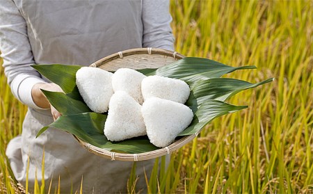 【定期便5回】山形産 特別栽培米 つや姫 5kg×5ヶ月(計25kg) FY24-470