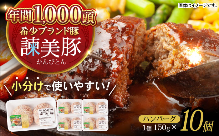 諫美豚ハンバーグ 10個（各150g）計1.5kg / 豚肉 ハンバーグ はんばーぐ おかず 惣菜 冷凍 / 諫早市 / 土井農場 [AHAD064]