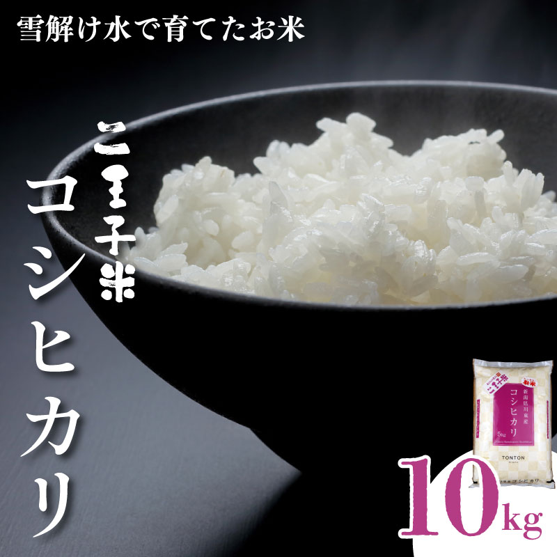 令和7年産 新潟県産 コシヒカリ 10kg 5kg×2袋 数量限定 特別栽培米 二王子米 新潟産 新潟米 新発田産 新発田 お米 米 kome 白米 ご飯 こめ ごはん ライス ふるさと納税米 コシヒカリ お弁当 食品 せいだ とんとん市場 ブランド米 人気米 玄米 新潟県 新発田市 seida003_02