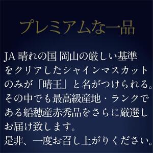 [HS]【定期便 全2回】ぶどう 2026年 先行予約 9月・10月発送 最高級品シャイン マスカット 晴王 2房 〈合計約1.4kg〉 ブドウ 葡萄  岡山県産船穂産 フルーツ 果物 ギフト