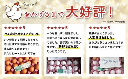 卵 朝採り 新鮮！ たっぷり40個(36個＋割れ補償4個) 濃厚で美味しい卵 わたなべさんちの元気たまご 20個×2パック  新潟 糸魚川 卵 たまご  