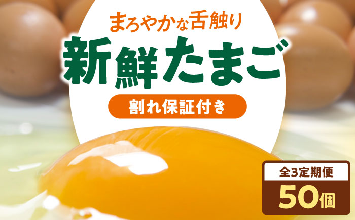 【全3回定期便】平飼い 海草たまご 5パック（50個入り）割れ保証あり 愛媛県大洲市/和田養鶏場 卵 たまご 鶏卵 卵料理 玉子 [AGDQ008]