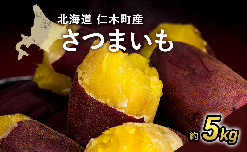 
                  2026年発送 北海道 仁木町産  さつまいも 5kg S～Lサイズ サイズバラバラ 野菜 やさい サツマイモ イモ 仁木町 [嶋田茂農園匠]
                