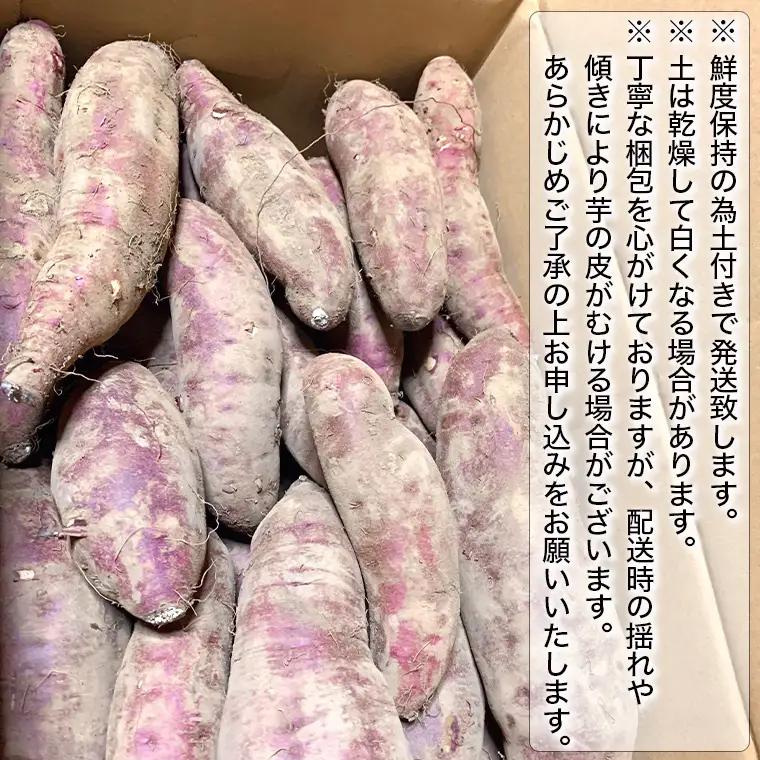 さつまいも シルクスイート 訳あり 約5kg サツマイモ