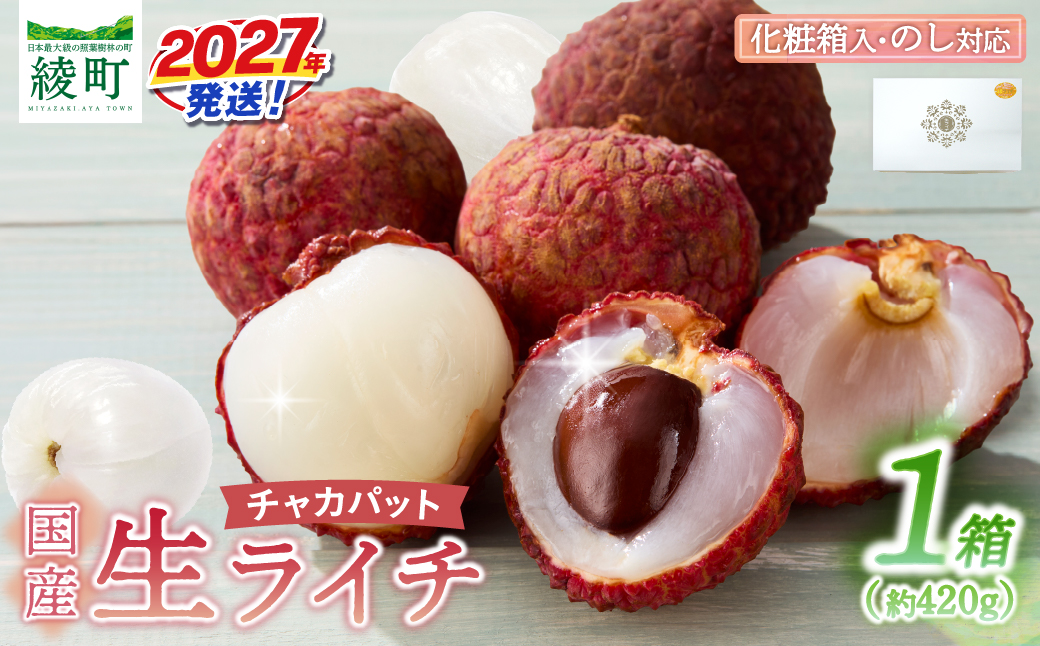 先行予約 数量限定 希少 国産 綾 生ライチ 1箱（化粧箱入り）果物 フルーツ くだもの 国産ライチ 2027年 トロピカルフルーツ 南国フルーツ 冷蔵 ジューシー 高級 デザート ギフト 贈り物 プレゼント ご褒美 宮崎県 送料無料【JA綾町】_A0114-1042