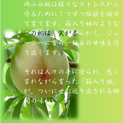 2026年予約受付　岡山県産　清水白桃　3玉(エース)【配送不可地域：離島】【1671608】
