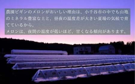 【先行予約】令和7年度産 メロン オルフェ 2玉 農園ビギン 【0002-0330-01】