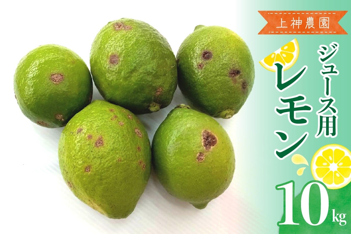 
            【2025年11月～発送】ジュース用 レモン 約10kg ku011-034-25
          