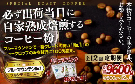 《定期便》必ず出荷日に自家熟成焙煎ブルーマウンテンNo.1粉(800g)＋ドリップバッグ16パック【12回お届け】