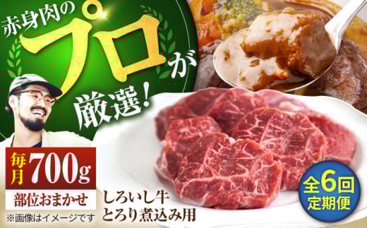 【牧場直送】【6回定期便】佐賀県産 しろいし牛 とろり 煮込み用 700g【佐賀セントラル牧場】佐賀県産 肉 お肉 牛肉 カレー シチュー スネ ネック 九州 佐賀県 白石町  白石 [IAH140]