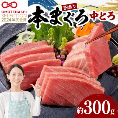 ふるさと納税 宿毛市 本まぐろ中とろ2柵セット