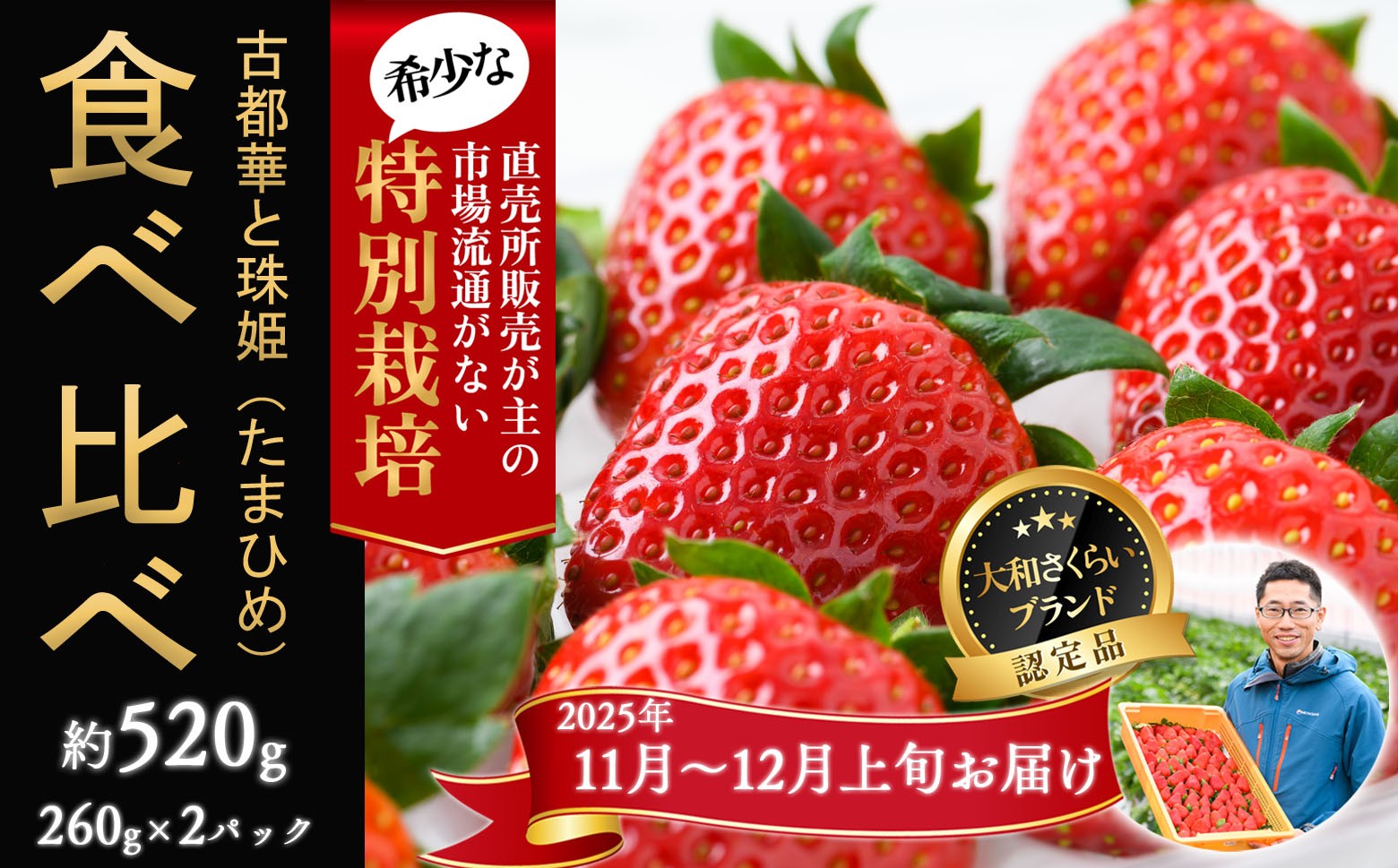 
            M-BD13.【2025年11月～12月発送】減農薬いちご 「古都華＆珠姫」2パック 食べ比べ 特別栽培農産物
          
