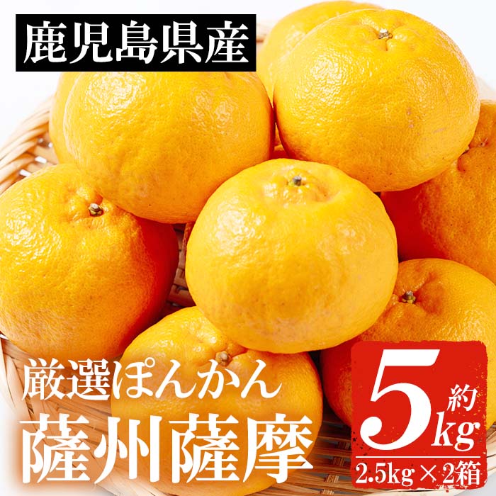 【ふるさと納税】＜先行予約受付中！2026年1月中旬頃より順次発送予定＞《期間限定・数量限定》鹿児島県産薩州薩摩(厳選ぽんかん)(約5kg・2.5kg化粧箱×2箱) 国産 みかん ミカン 蜜柑 ポンカン 柑橘 冬季 果物 常温 常温配送 フルーツ【JAさつま日置北部営農センター】