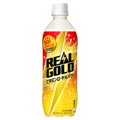 ふるさと納税 土浦市 リアルゴールドビタミンローヤルパワー490mlPET×24本