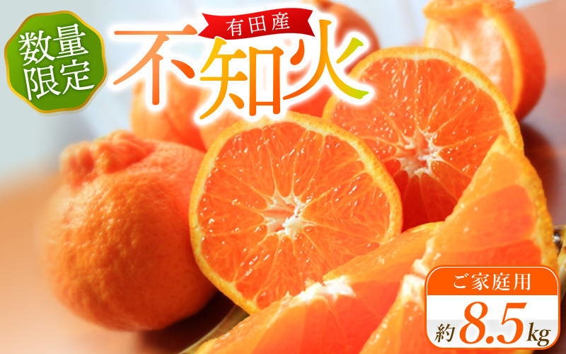 
            【ご家庭用】紀州有田産 不知火(しらぬひ) 約8.5kg 【予約】 訳あり ※2026年2月中旬頃〜2026年3月中旬頃に順次発送予定(お届け日指定不可) 不知火 みかん ミカン 柑橘 果物 フルーツ【uot507A】
          