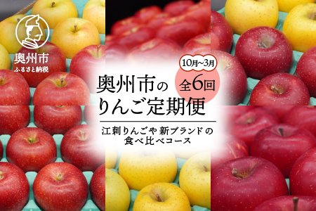 数量限定 奥州市のりんご定期便・6回（10月～3月） 江刺りんごや新ブランドの食べ比べコース [AQ030]