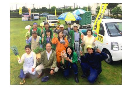 No.293 手づくりしあわせかりんとう　5個入