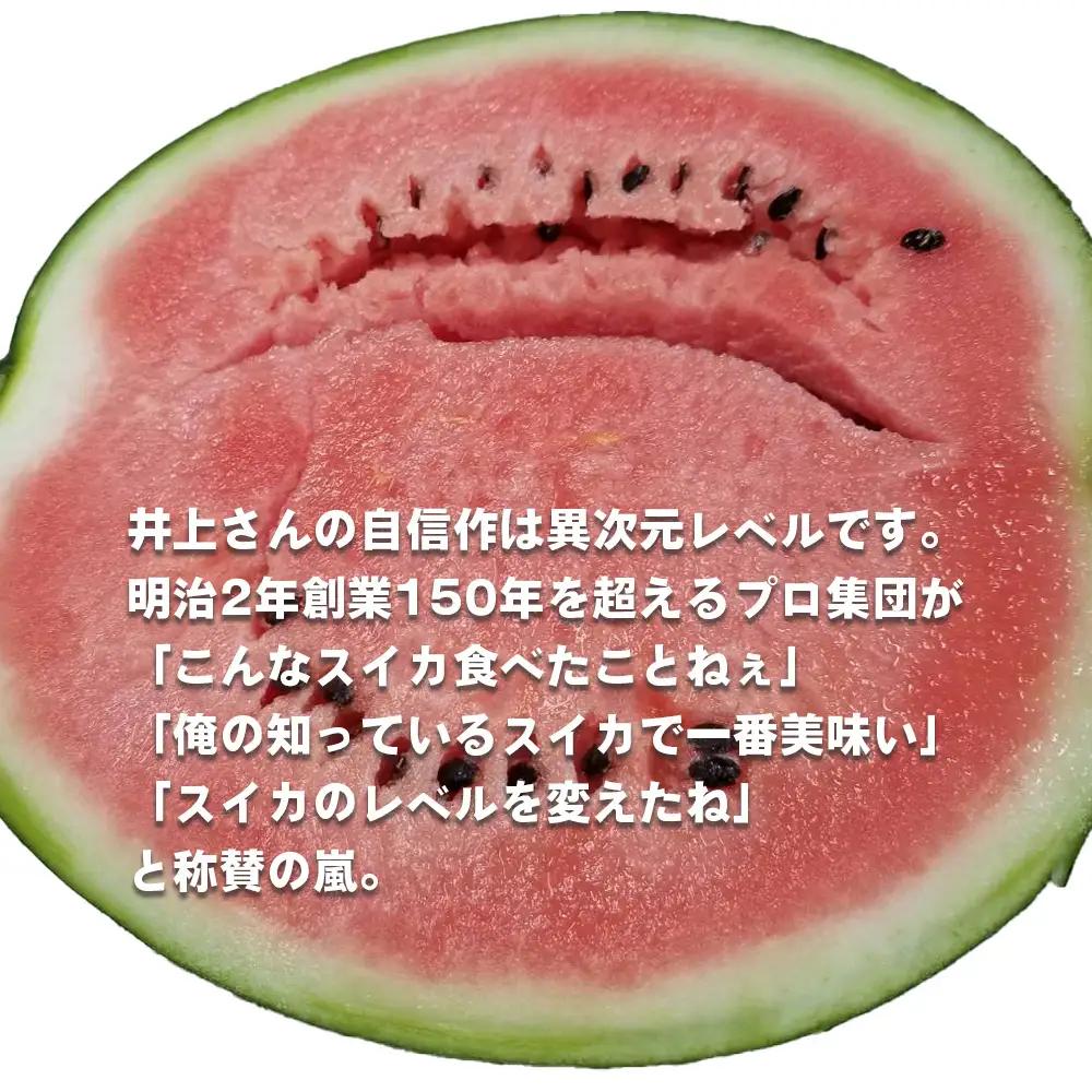 No.012 井上さんの西瓜「自信作（赤肉スイカ）」2Lサイズ以上2玉 ／ スイカ すいか 西瓜 2L 完熟 糖度 高糖度 甘い シャリ感 果物 フルーツ 旬 産地直送 お取り寄せ 贈答 ギフト 暑中