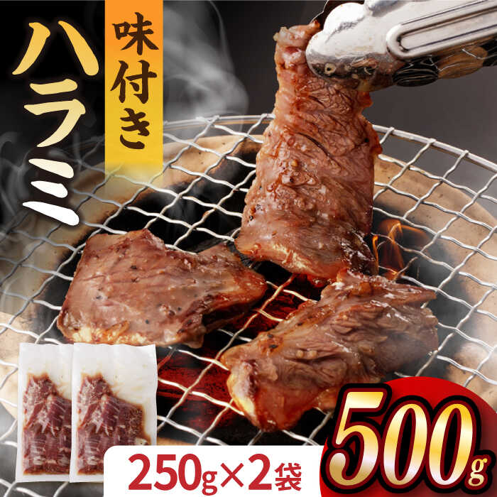 【ふるさと納税】【塩だれ】九州産和牛 ハラミ 250g×2袋（計500g） 長与町/岩永ホルモン [EAX158] ハラミ はらみ 国産 肉 牛 和牛 牛肉 牛ハラミ 小分け 味付き 焼肉 BBQ 冷凍 九州 味付け 塩だれ 簡単調理 送料無料 長崎