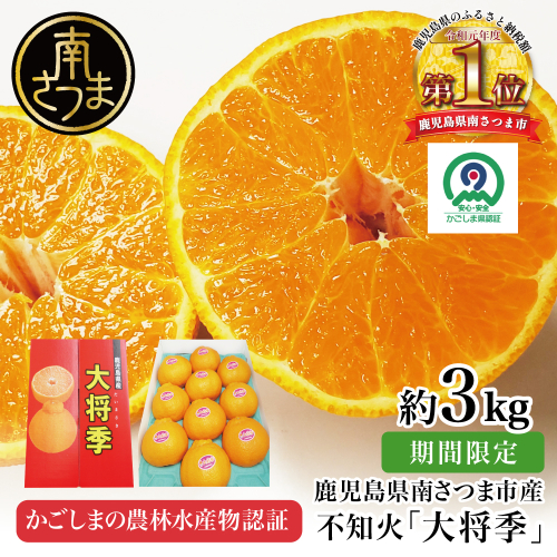 【11月末～12月発送】ブランド不知火「大将季」 約3kg入り化粧箱 （8玉～12玉） 南さつま市 金峰町産 国産 果物 フルーツ 旬 柑橘 不知火 しらぬい くだもの ハウス栽培 常温 鹿児島県