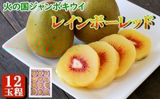 火の国ジャンボキウイ《レインボーレッド》 12玉【大玉・完熟】 上品な甘さと濃厚な味わい