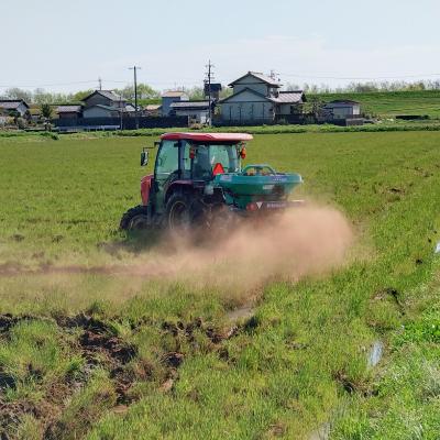 ふるさと納税 養老町 令和7年岐阜県養老産ケリ米ハツシモ　白米5kg |  | 01