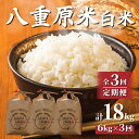 【ふるさと納税】（3回定期便）令和6年産八重原米新米予約 精米 6kg (2kg×3袋) お米 コシヒカリ白米 美味しい 甘い 長野県東御市