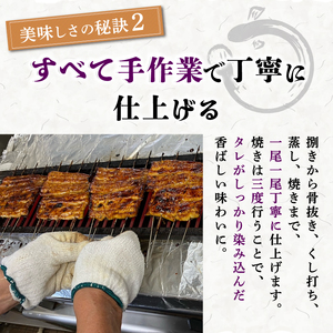 【2026年4月～順次発送】《数量限定》うなぎ蒲焼 2人前 2尾 冷蔵 三島名物 老舗 鰻問屋 うなぎ 蒲焼き 鰻 ウナギ 真空パック 浜名湖 土用丑の日 贈答用 惣菜 うな重 うな丼 伝統 贈り物 