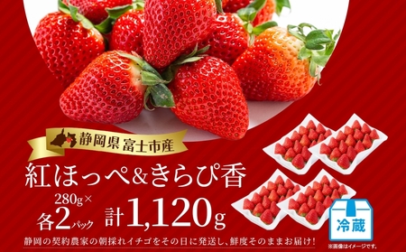 期間限定 富士市産 いちご 2種セット 紅ほっぺ きらぴ香 各2P (1P約280g入) 食べ比べ 朝どれ 新鮮 高糖度 甘み 香り 酸味 ジューシー 人気 果物 フルーツ 旬 ギフト 贈り物 【配送