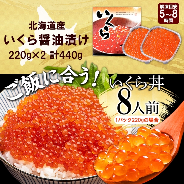 年内配送 12月15日まで受付 2993. いくら醤油漬け 220g×2個 いくら醤油 イクラ しょうゆ漬け いくら イクラ 醤油 海鮮 魚介 いくら丼 鮭 魚卵 贈答 送料無料 北海道 弟子屈町_イ