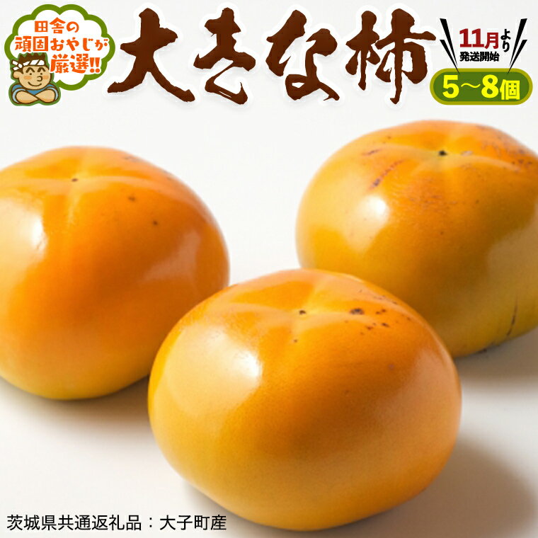 【ふるさと納税】大きな柿5～8個【11月より発送開始】田舎の頑固おやじが厳選！