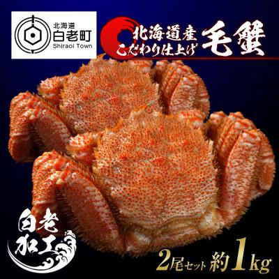 ふるさと納税 白老町 毛蟹 ボイル済み 冷凍 2尾セット 約1kg BM048