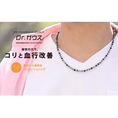 ふるさと納税 甲府市 ボディアジャストメントネックレス　Dr.ガウス　マンテルタイプ　45cm |  | 02